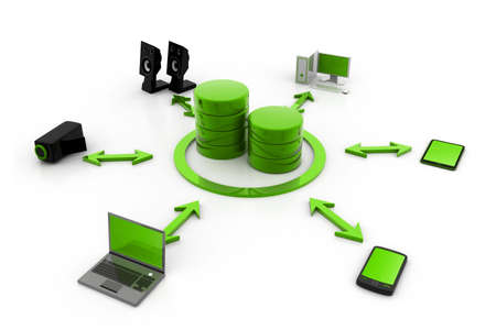 Network Database