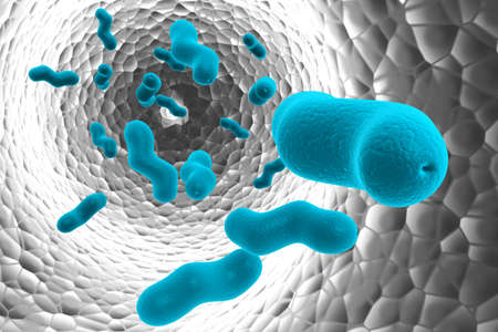bacteria cells