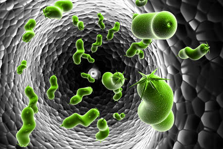 E coli Bacteria