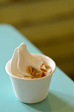 Coconut milk ice creamの写真素材