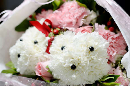Bouquet of Poodle Carnationの写真素材