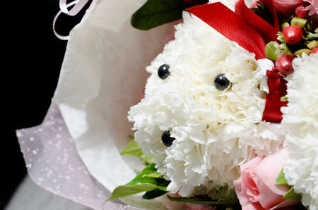 Bouquet of Poodle Carnationの写真素材