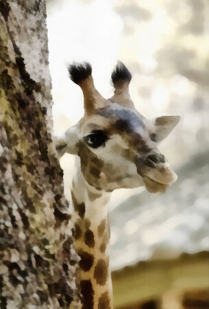 Watercolor Digital Painting Of Giraffe Portraitの写真素材
