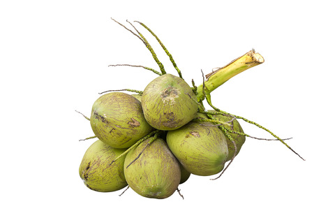 Green coconut cluster isolated on white background.の写真素材