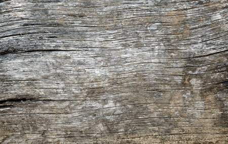 Old wooden texture in close up view.の写真素材