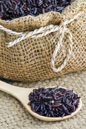 Raw purple Riceberry rice, it is a crossbred between Thai Hom Nil (black jasmine rice) and white Jasmine rice,Rice for health.の写真素材