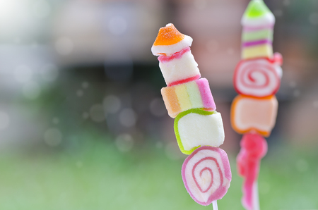 Colorful of  jelly candy  in nature background.の写真素材