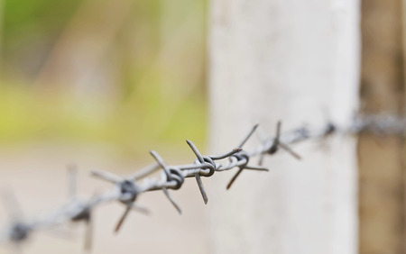 barbed wire in nature background,shallow DOF.のeditorial素材