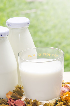 Fresh milk in morning light and nature backgroundの写真素材