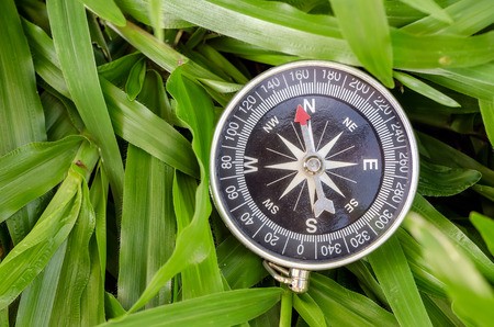 The compass put on the lawn,top view.の写真素材