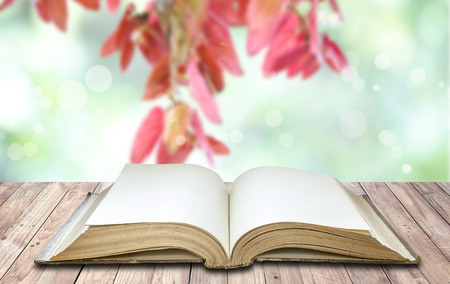 Open book with blank page put on wooden floor in the nature background.の写真素材