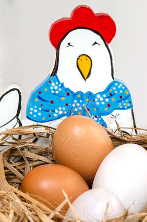 Fresh eggs on the dry netの写真素材