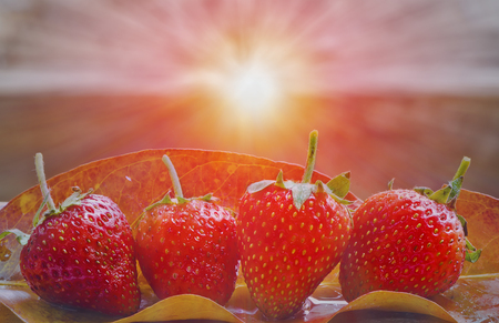 strawberries in natural background.の写真素材