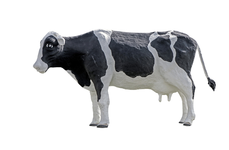 Cow statue isolated on white background,with clipping pathの写真素材