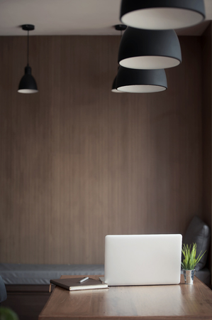 Workplace with laptop ,book and houseplant on wooden tableの写真素材