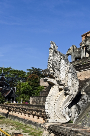A photo of King Naga at Jetiyaluang Temple Chiang Mai Thailand の写真素材