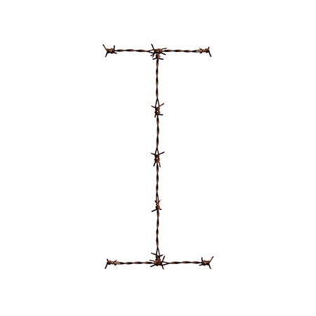 Roman Number One made from Barb の写真素材