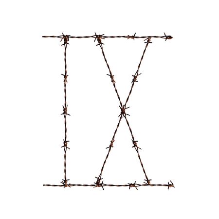A photo of Roman Number Nine made from Barb の写真素材