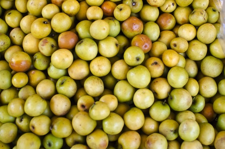 Monkey apple, a group of thailand monkey apple.の写真素材