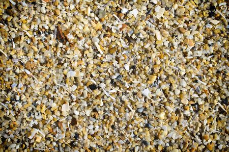 Sea shells and sand at samila beach in songkhla thailandの写真素材