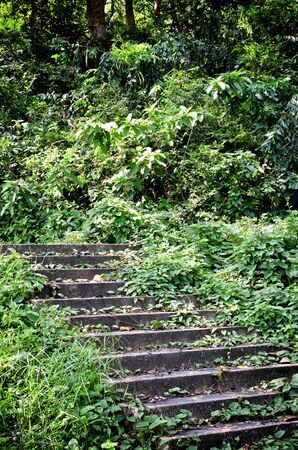 Rock stairway going up to Tang Kuan Hill songkhla thailandの写真素材