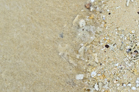 shell Sand beach and waveの写真素材