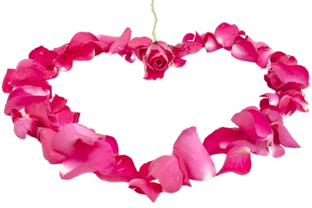 rose in center of petal heartの写真素材