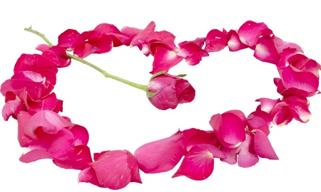 rose in center of petal heartの写真素材