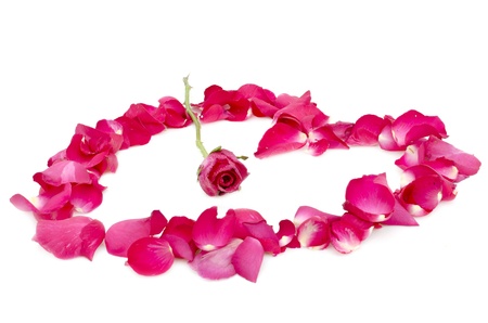 rose in center of petal heartの写真素材