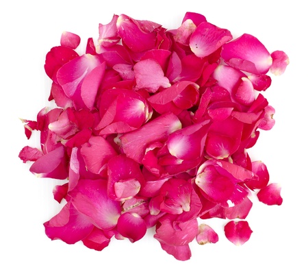 petal rose stackの写真素材