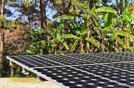 Solar panel at Doi Pui mountain, chiang mai ,thailandの写真素材