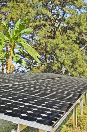 Solar panel at Doi Pui mountain, chiang mai ,thailandの写真素材