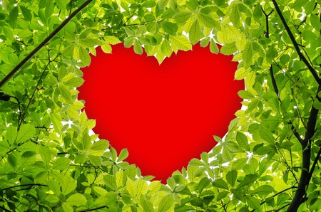 red heart in leavesの写真素材