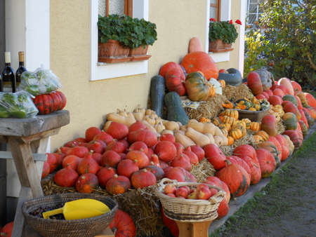 A large pumpkin stall beside the roadの写真素材