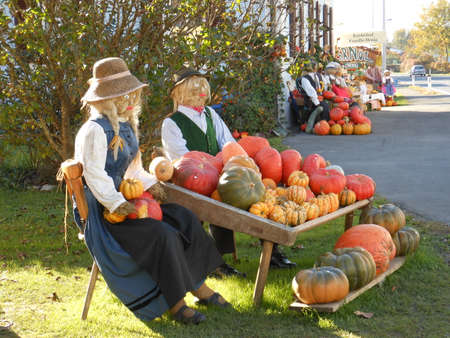 Straw Dummys at pumpkin stalls, Austrian traditionのeditorial素材