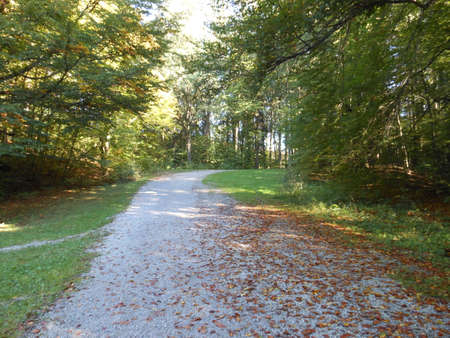 Foot-path around the lake of Thal, Austriaの写真素材