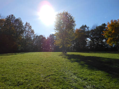 Amazing bright sunshine at nation parkの写真素材