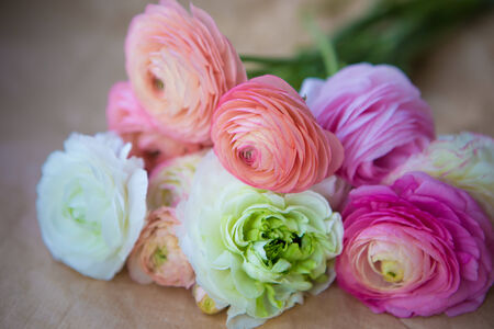 ranunculus bouquet on craft paper wrappingの写真素材