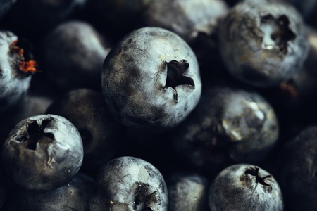 lots of blueberriesの写真素材