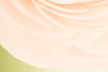 spring fresh smooth abstract background
