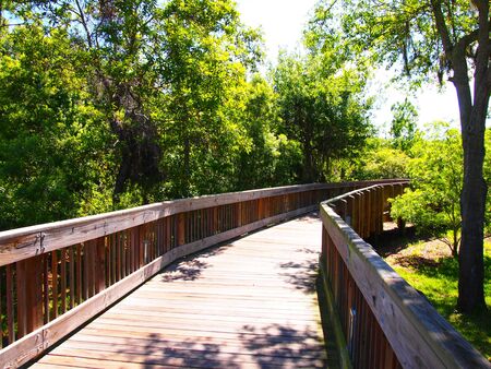Nature boardwalk through lush botanical gardens in Largo, Florida  の写真素材