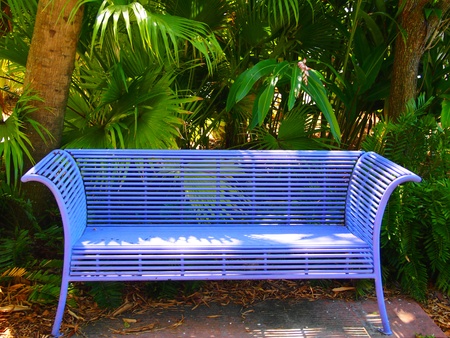 Bench in front of tropical plants in botanical garden の写真素材