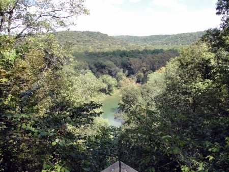 Beautiful river running through lush, sunlit, green forest.                               の写真素材