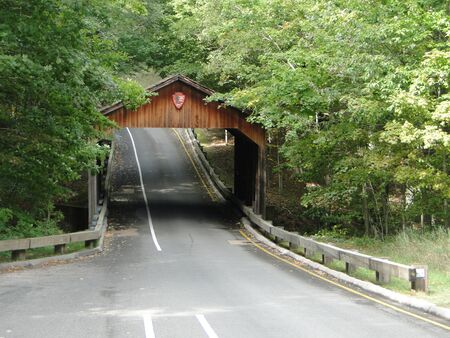 Road under charming covered bridge through woods.