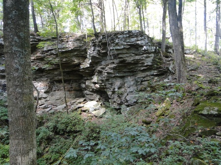 Rock formation in forest taken at Mammoth Cave National Park in Kentucky の写真素材