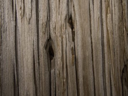 Old, worn, woden fence.の写真素材