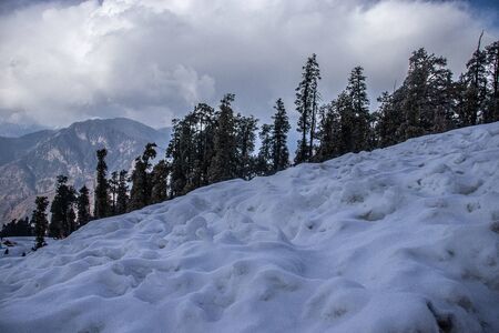A steep surface on a himalayan mountain with pine trees in backgroundの写真素材