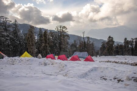 A campsite on a snowy himalayan mountain with tall pine trees in backgroundの写真素材