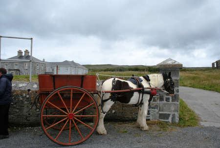 Lovely cartの写真素材