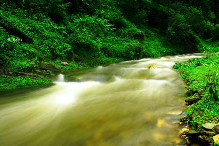 greeen stream 